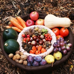 Strengthen the immune system with a healthy diet Silke Schweitzer Nutritional advice Munich